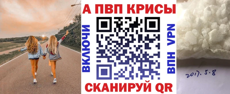A PVP СК  Суворов 