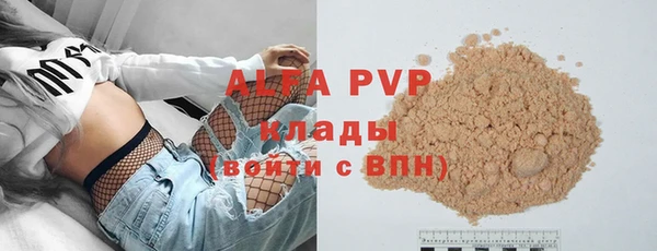 индика Балабаново