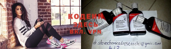 индика Балабаново