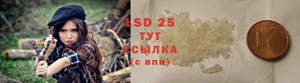 индика Балабаново