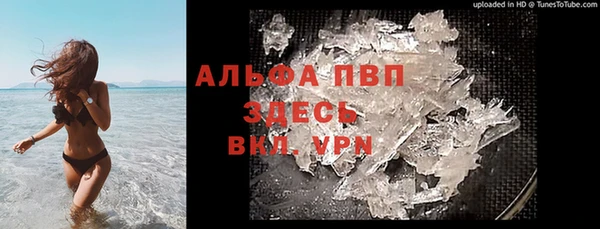 гидра Балахна