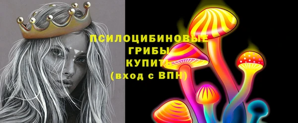 индика Балабаново