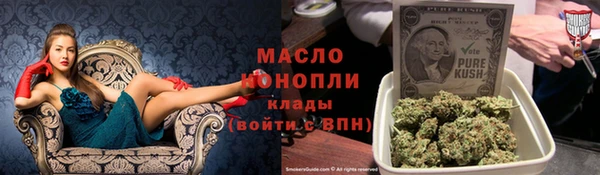 индика Балабаново