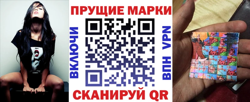 закладки  Суворов  Марки N-bome 1,8мг 