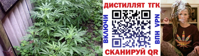 купить наркоту  Суворов  блэк спрут   мориарти официальный сайт  Дистиллят ТГК вейп с тгк 