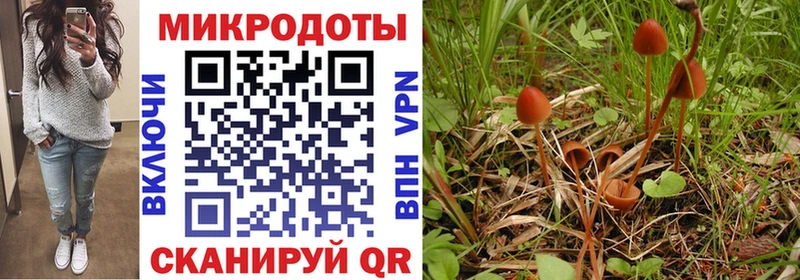 продажа наркотиков  это Telegram  Псилоцибиновые грибы Cubensis  Суворов  ссылка на мегу как войти 