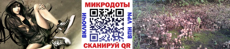 Галлюциногенные грибы прущие грибы Суворов